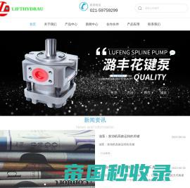 内啮合齿轮泵-上海齿轮泵厂家-液压泵报价-上海潞丰液压技术有限公司