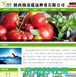 陕西杨凌瑞晟种业有限公司|瑞晟种业|甜瓜种子|西瓜种子|番茄种子