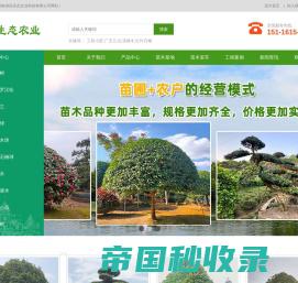 湖南漫辰生态农业科技有限公司-茶花球|广玉兰|桂花树|红叶石楠球|造型罗汉松