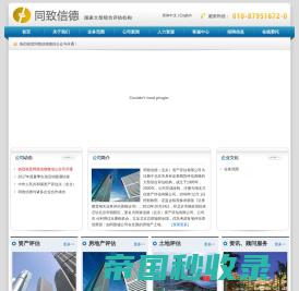 同致信德（北京）资产评估有限公司-大型综合评估机构